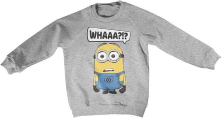 Minions Sweater/trui kids -Kids tm 4 jaar- Whaaa?!? Grijs