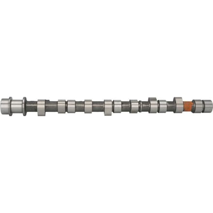 Nokkenas  AMC 665842