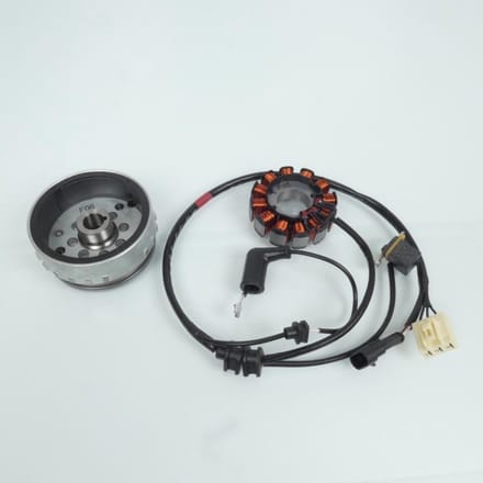 stator rotor rms voor scooter piaggio 150 liberty 2013 à 2014 m73500 nieuw