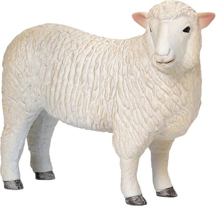 Mojo Farmland Romney Schaap Ooi - 381064
