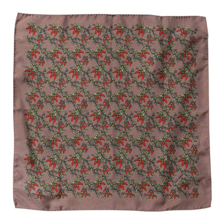 Bruine Chili's Zijde Vierkant Mannen Foulard Sjaal