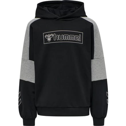 Kinder sweatshirt met capuchon Hummel hmlBOXLINE
