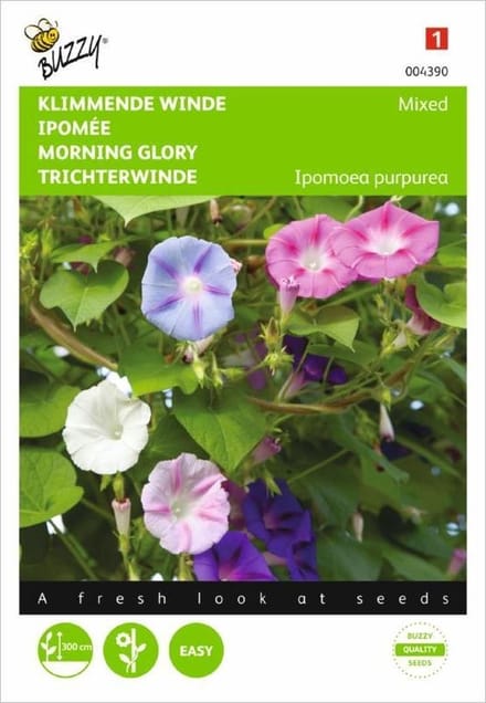 Klimmende winde gemengd - Ipomoea purpurea