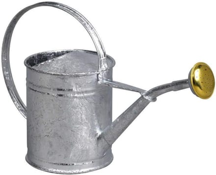 Kleine gieter van staal met broes - 1 liter waterkan