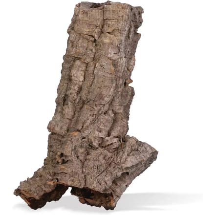 Decoratief object voor terrarium kurkbuis Aquavie