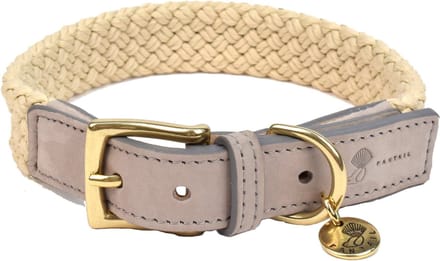 Fantail Hondenhalsband Tau Grijs - Hondenhalsband - 45 cm