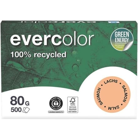 Farbiges Kopierpapier EVERCOLOR, DIN A4, 80 g/m², lachsrosa, 1 Paket = 500 Blatt