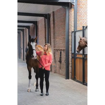 Dames Hoodie Horse Pilot Team