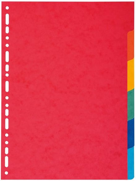 Exacompta Tabbladen gerecycleerd karton 220g - 6 tabs - A4 - Geassorteerd - 2006E