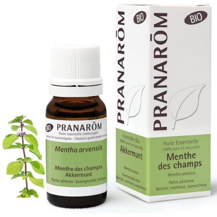 Pranarôm Essentiële Olie Akkermunt Bio 10 Etherische olie