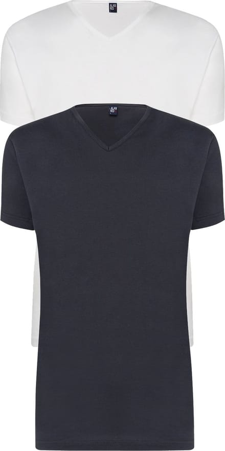 ALAN RED T-shirts Vermont (2-pack) - V-hals - wit en antraciet grijs