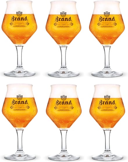 Brand Bovengister bierglazen - 25cl - 6 stuks