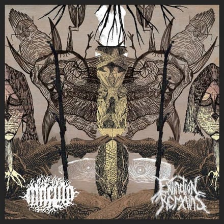Macula Extinction Remains: Split [CD]