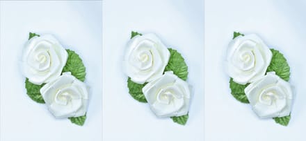 3 haar bloemen clicks  2 roosjes op click wit