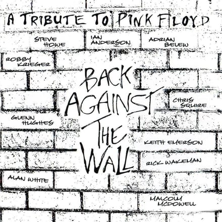 A Tribute To Punk Floyd - Back Against