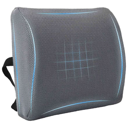 vidaXL - Rugkussen - Grijs - Traagschuim - 36 - x - 30 - x - 12 - cm