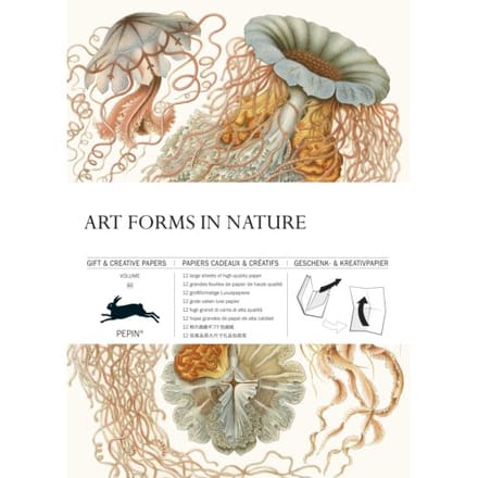 Art Forms In Nature / Volume 83 - Gift & Creative Papers - Pepin van Roojen