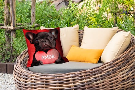 Buitenkussen - Amor - Hond - Hartje - Rood - 45x45 cm - Weerbestendig