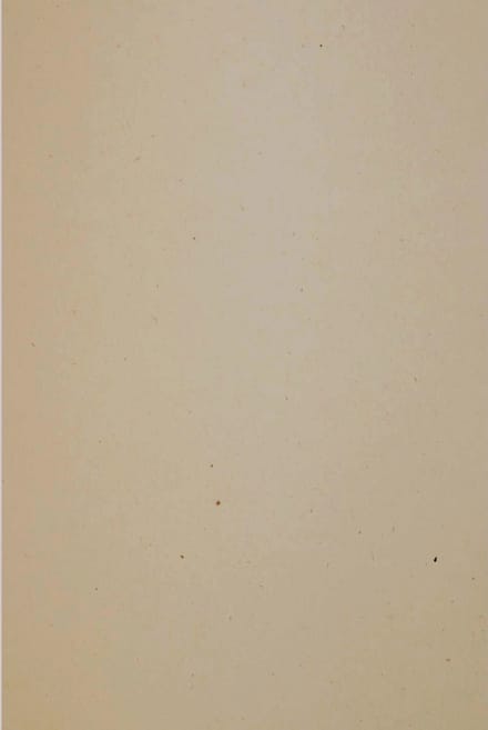 Netuno - bruin ecologisch papier - A5 - 14,8 x 21 cm - 10 vellen - 130 gram - Flora Tabacco
