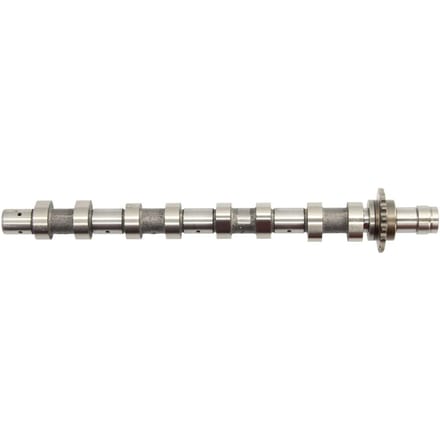 Nokkenas  AMC 647254
