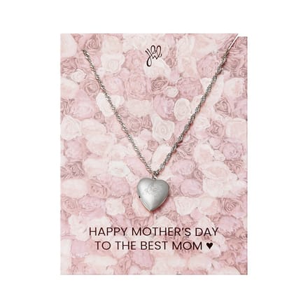 Medaillon - Ketting - Roos - Moederdag Cadeautje - Ketting Mama - Mama - Geschenk - Zilver