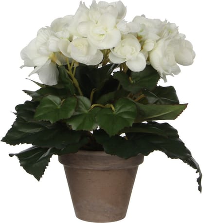 Mica Decoration Kunstplant - begonia - wit - in pot - 25 cm - nepplanten