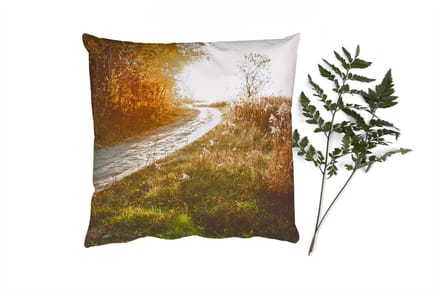 Sierkussens - Kussentjes Woonkamer - 60x60 cm - Pad - Natuur - Boom