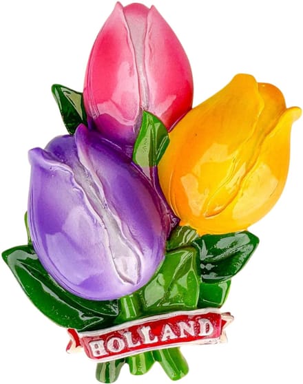 Koelkastmagneet - Magneet Holland -Tulpenbos Lila - Roze - Geel