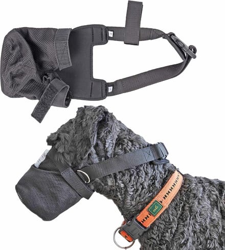 Neopreen Gif Lokbescherming - Netmuilmand - Vangnet voor Honden (L) dog muzzle