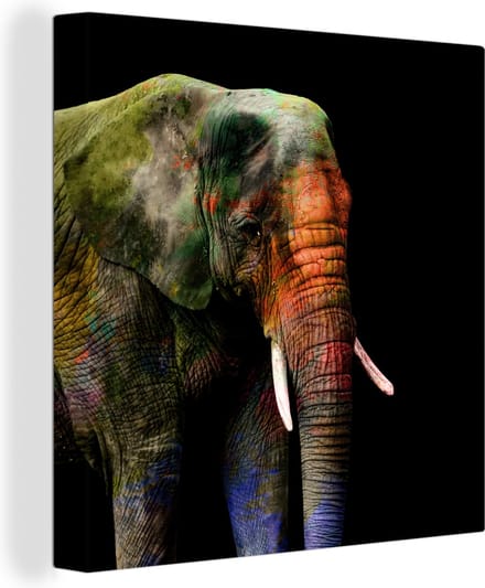 Canvas Schilderij Olifant - Kleuren - Dier - 90x90 cm - Wanddecoratie