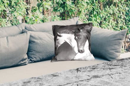 Buitenkussen - Paarden - Dieren - Zwart - Wit - Portret - 45x45 cm - Weerbestendig