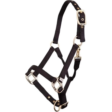 Verstelbaar nylon/messing halster voor veulens BR Equitation