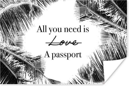 Poster Spreuken - Quotes - All you need is a passport - Liefde - 30x20 cm