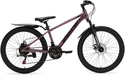 Generation GT100 24 inch Paars - Kinderfiets met Spatborden