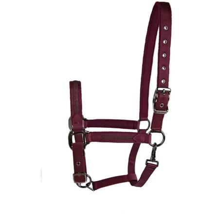 Halster voor paarden Lami-Cell Sparkling