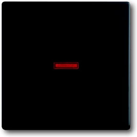 ABB Busch-Jaeger Schakelelement/Centrale Plaat - 2CKA001751A3047 - E2BQJ