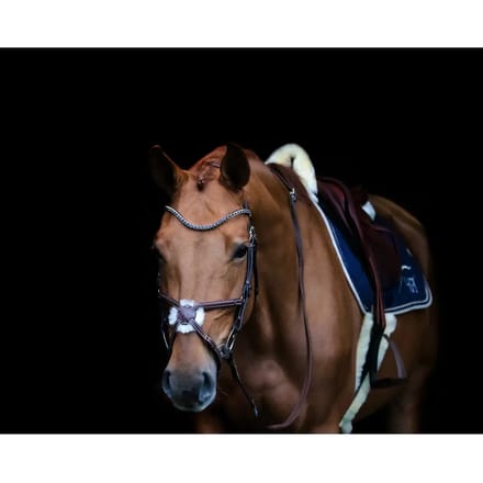 Frontaal voor paard HFI V Shape + Strass