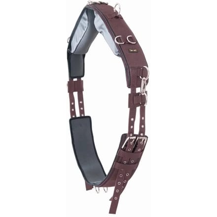 Paard surfaix T de T