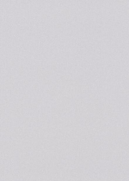 Erismann Vinylbehang 10475-31 - Coulours & Textures - Zilver - 53cm x 10.05m