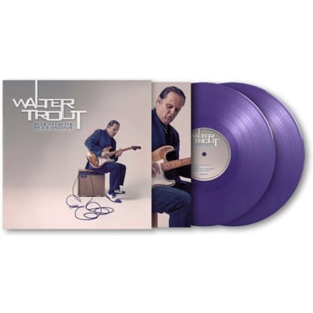 Blues For The Modern Daze - Walter Trout