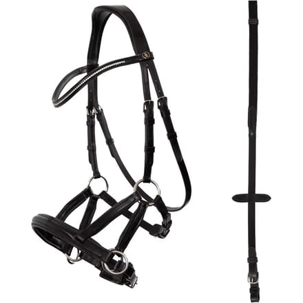 Anatomische hoofdstellen BR Equitation Lewes