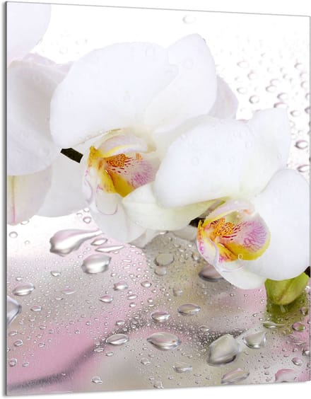 TMK ArtDeko - Snijplank Glas - 40x52 cm - Orchidee - Hittebestendig