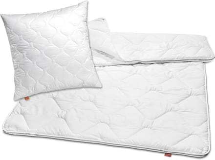 sleepling dekbed kussen set Basic 100 | dekbed 155 x 200 cm en kussen 80 x 80 cm | warm winterdekbed | overtrek van 100% microvezel | Made in EU | wasbaar tot 60 graden | wit
