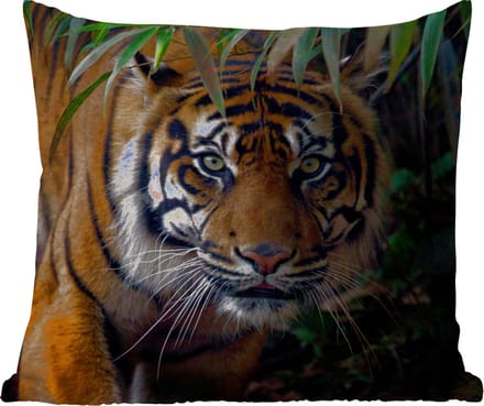 Tuinkussen - Tijger - Bladeren - Jungle - Dieren - Wild - 40x40 cm - Weerbestendig