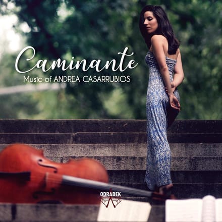 Caminante - Andrea Casarrubios