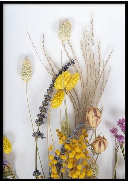 Poster Dried Flowers - 30x40cm - Poster Droogbloemen - WALLLL