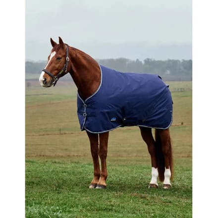 Outdoor paardendeken Weatherbeeta Comfitec Tyro Standard 220g