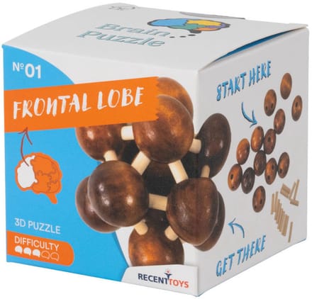 Recent Toys houten breinbreker puzzel Frontal Lobe - hersenkraker.