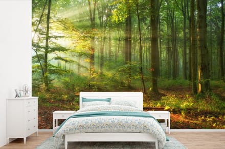Behang - Fotobehang Zon - Bos - Bomen - Natuur - Herfst - Breedte 330 cm x hoogte 220 cm