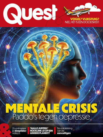 Quest editie 13 2025